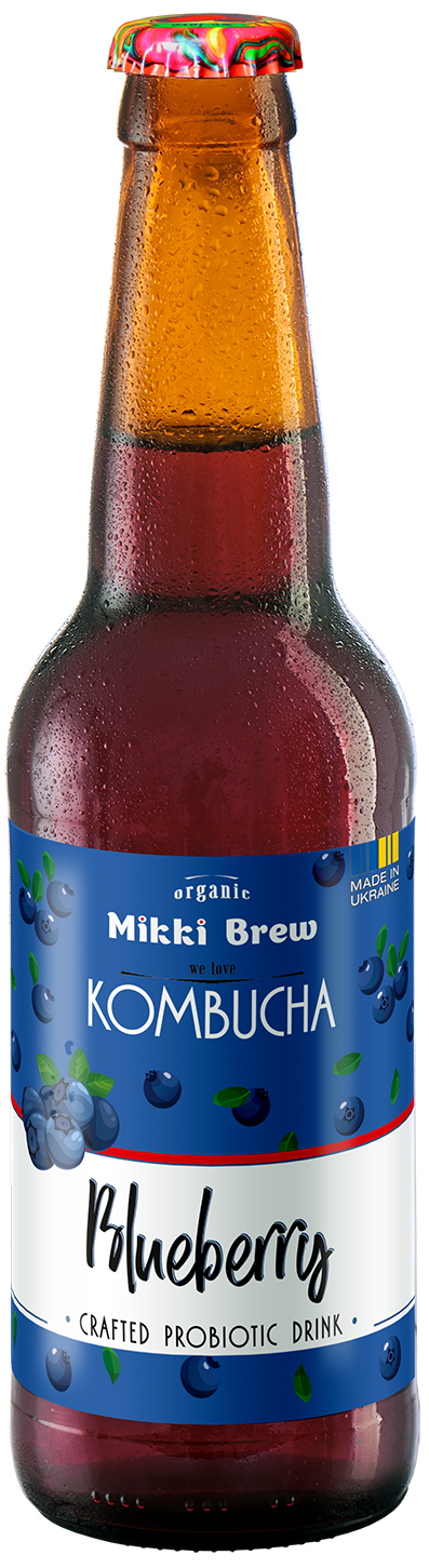 NEW_Kombucha_Blueberry _web (2)